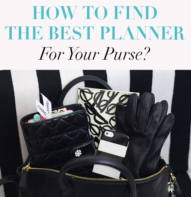 How to Find 'the One' (Purse) | by The Billfold | The Billfold | Medium